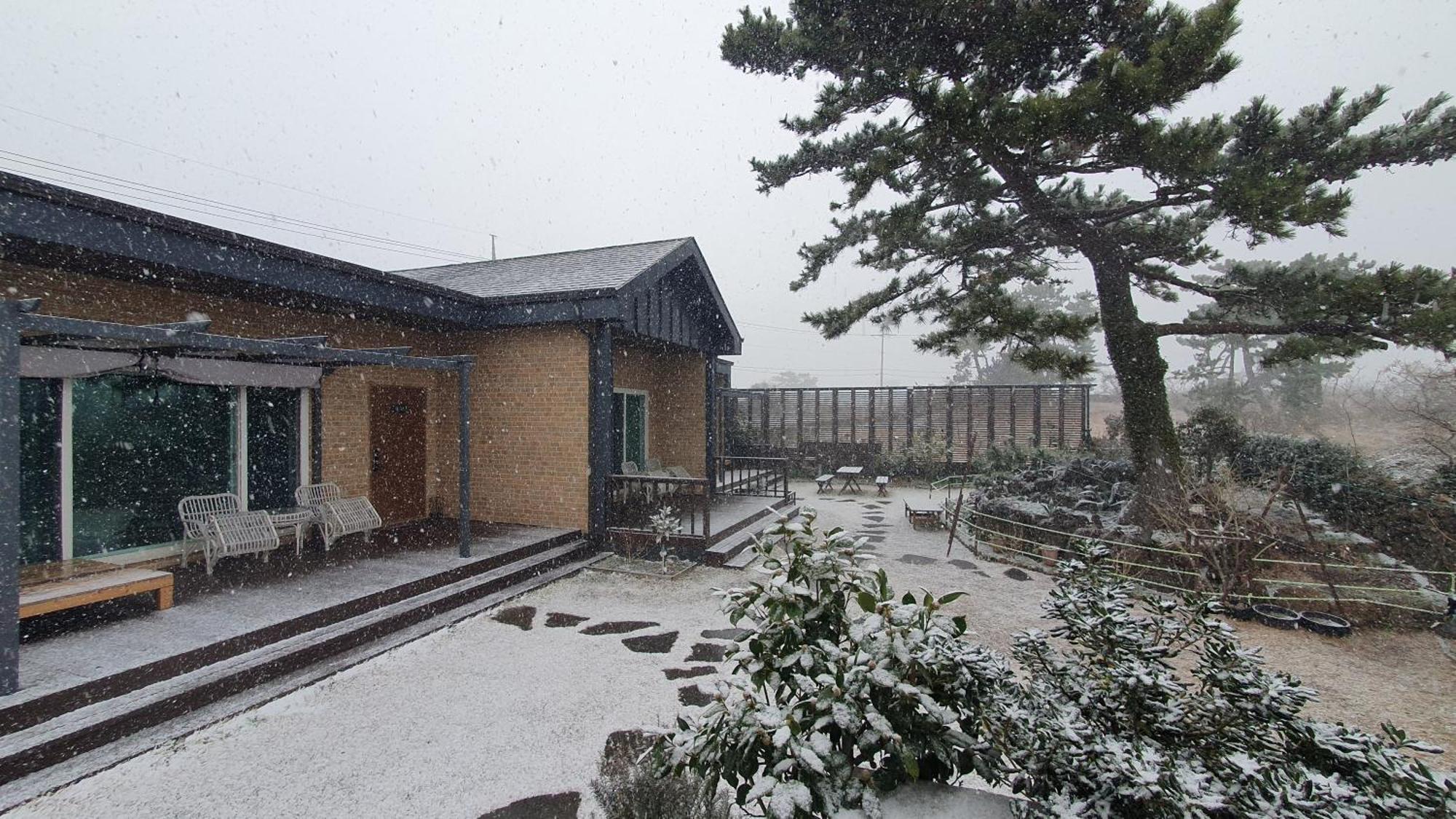 Wind Jeju Cafe & Pension Seogwipo Exterior foto
