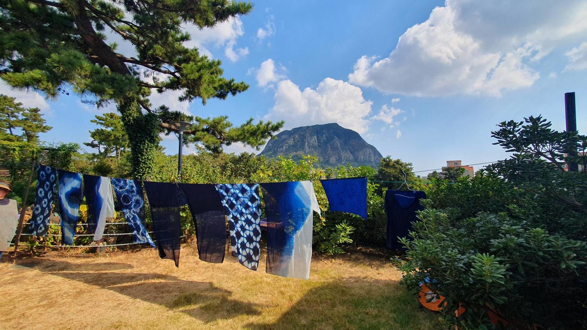 Wind Jeju Cafe & Pension Seogwipo Exterior foto